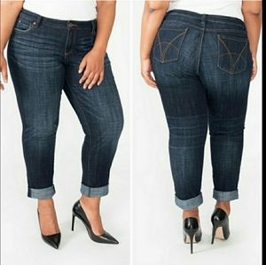 KUT from the KLOTH Jeans Boyfriend Plus Size 24W